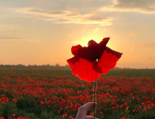 Remembrance Day Activities for EYFS (Early Years Foundation Stage)